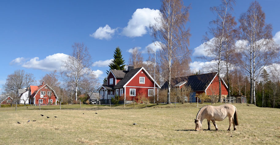 Schweden Ferien Pferde Reiten