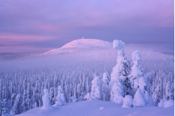 Arktische Route – von Finnland nach Norwegen, 8 Tage
