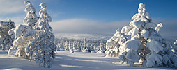 Lappland Reisetipps