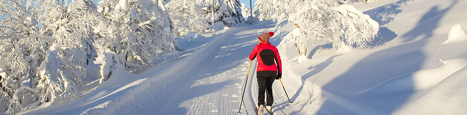 Aktivferien Schweden
