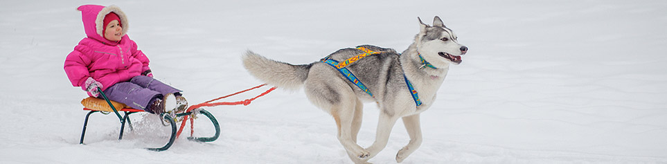 lappland-mit-kindern-header-4.jpg
