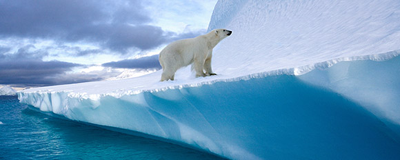 Tierparadies, Nordlichter, Longyearbyen und grandiose Landschaften
