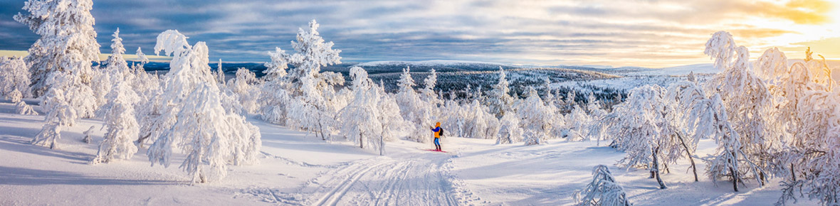 Winter Aktiv Schweden