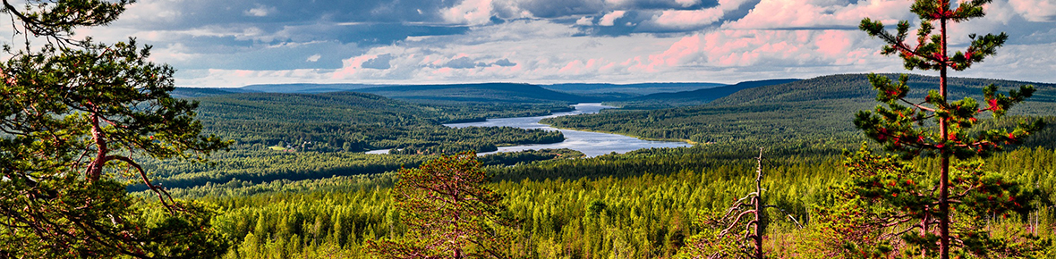 Hotels Rovaniemi
