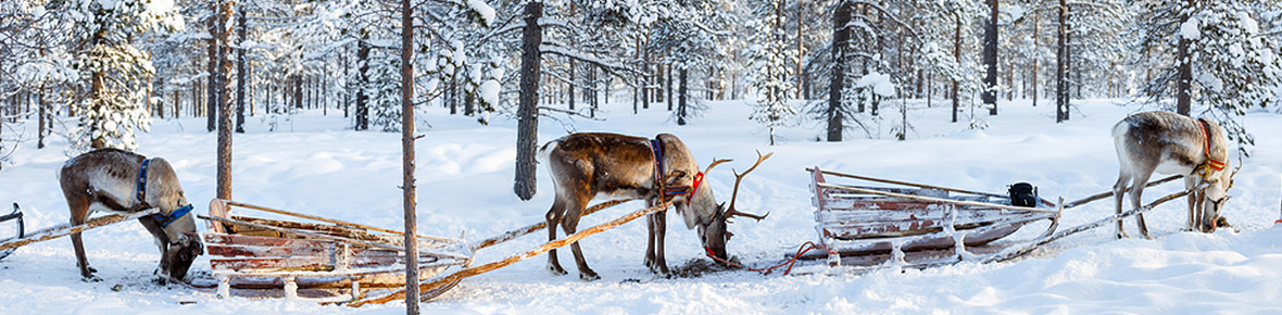 Rovaniemi Hotels &amp; Feriendörfer