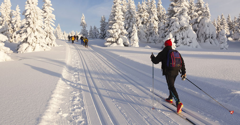 Langlauf Reise nach Lappland buchen