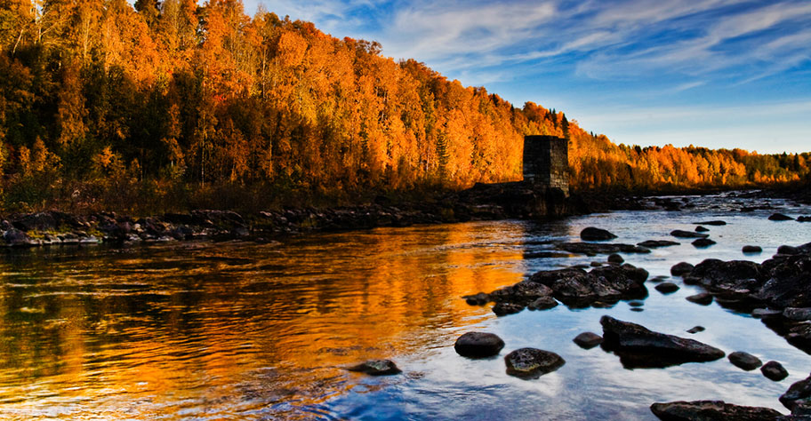 Lappland Wald farbig Herbst