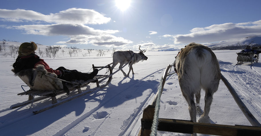 Lappland Rentier Touren buchen