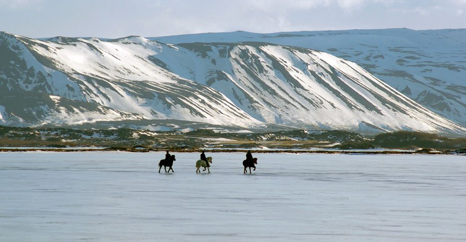 Island Pferde See Reisen