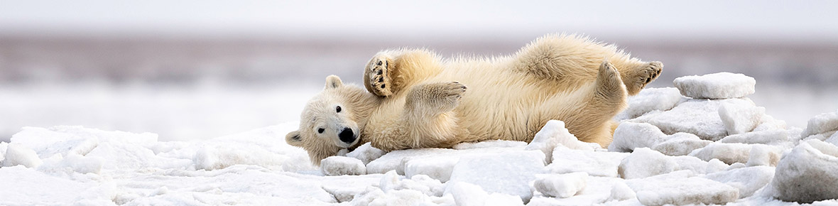 Spitzbergen Reisen