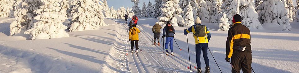 Lappland Langlauf